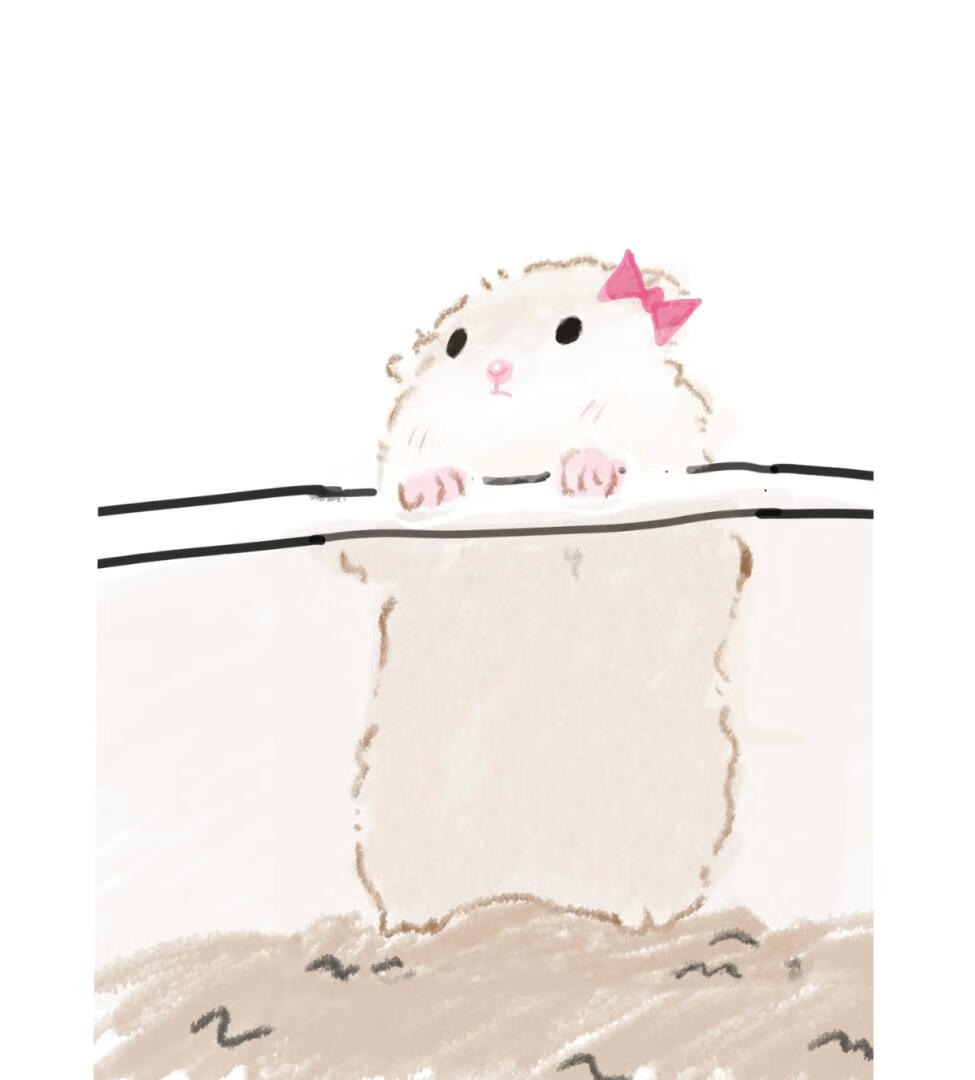 一篇普通人暗恋小悟酸涩文学