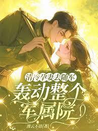 清冷孕妻去随军,轰动整个军属院