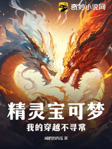 精灵宝可梦:我的穿越不寻常